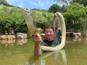 Morre Dingo, youtuber que explorava natureza, após picada de mamba-verde